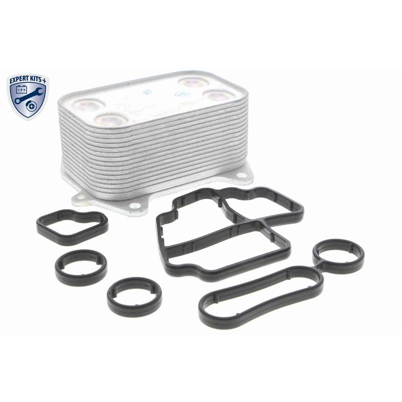 VEMO V15-60-6061 Radiador de aceite, aceite motor - 1