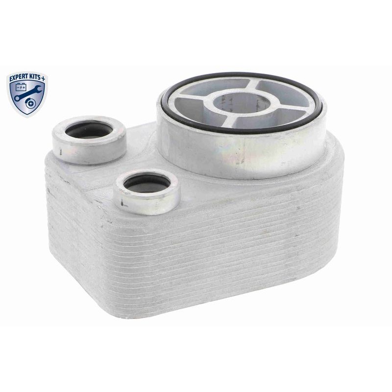 VEMO V46-60-0010 Radiador de aceite, aceite motor - 1