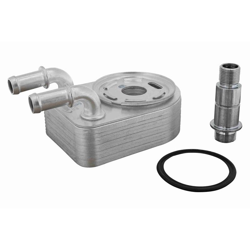 VEMO V33-60-0019 Radiador de aceite, aceite motor - 1