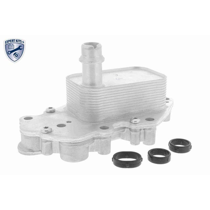 VEMO V40-60-2102 Radiador de aceite, aceite motor - 1