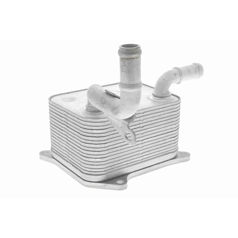 VEMO V15-60-0013 Radiador de aceite, aceite motor - 1