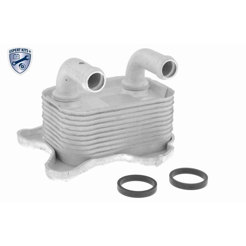 VEMO V40-60-2103 Radiador de aceite, aceite motor - 1