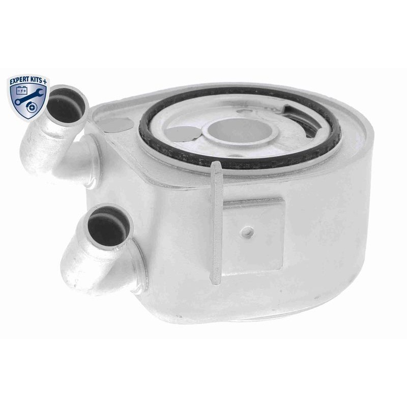 VEMO V25-60-0035 Radiador de aceite, aceite motor - 1