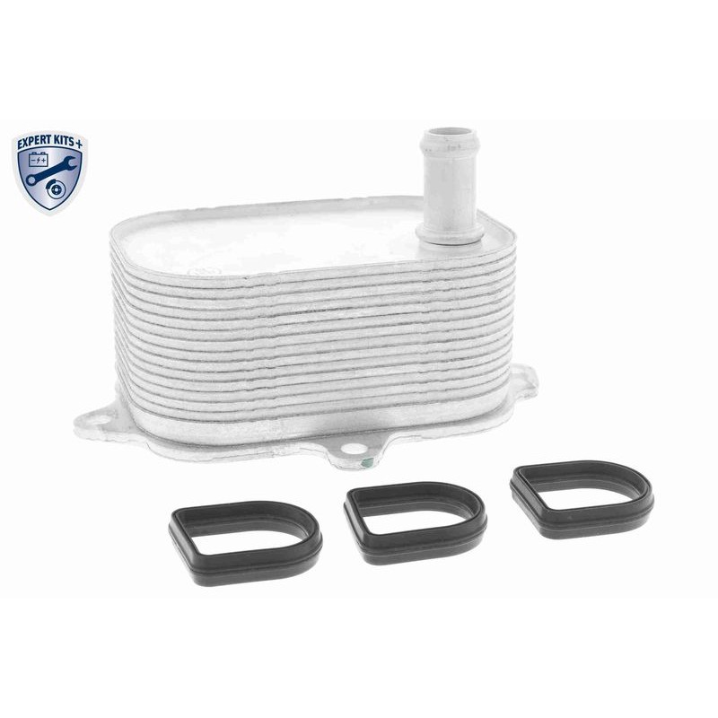 VEMO V15-60-6088 Radiador de aceite, aceite motor - 1