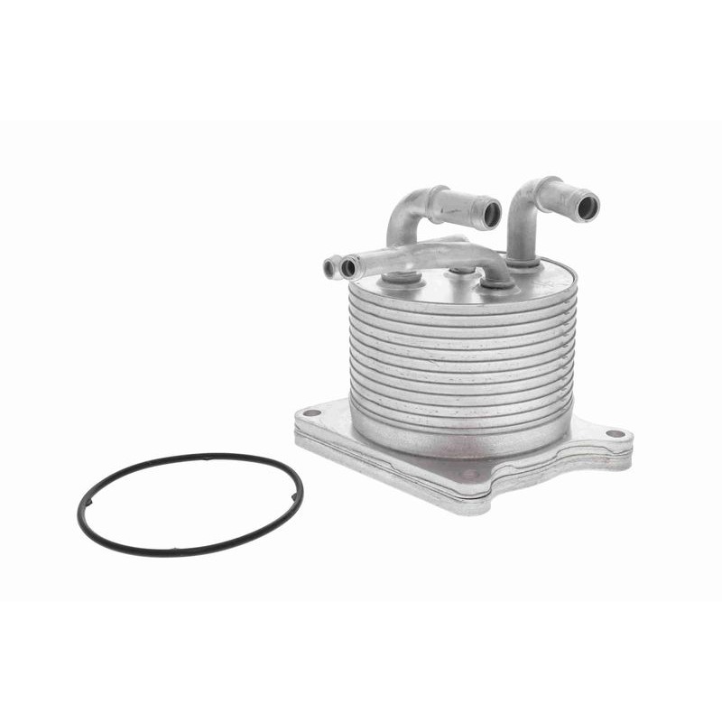 VEMO V33-60-0012 Radiador de aceite, transmisión automática - 1