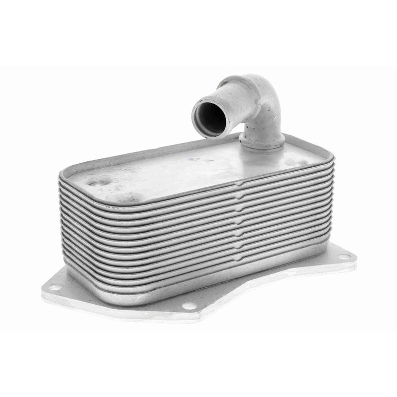 VEMO V40-60-2099 Radiador de aceite, aceite motor - 1