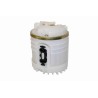 VEMO V10-09-0805-1 Bomba de combustible - 1