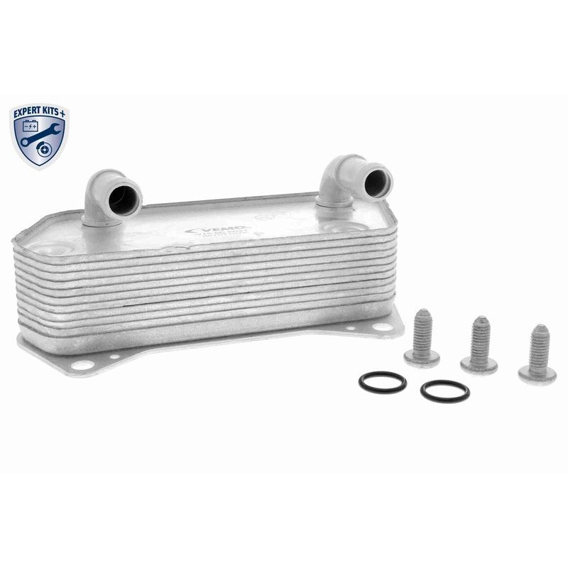 VEMO V15-60-6081 Radiador de aceite, aceite motor - 1