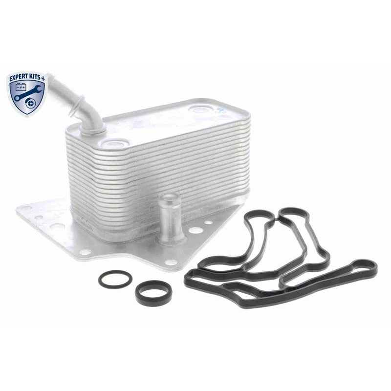 VEMO V40-60-2101 Radiador de aceite, aceite motor - 1
