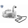 VEMO V24-60-0051 Radiador de aceite, aceite motor - 1