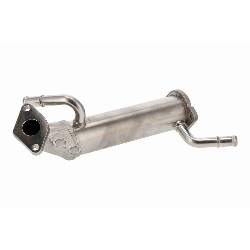 VEMO V25-63-0039 Elemento enfriador, reciclaje gases escape