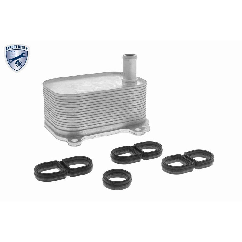VEMO V10-60-0066 Radiador de aceite, aceite motor - 1