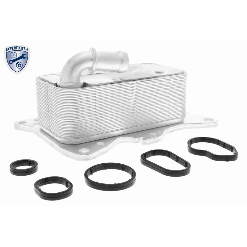 VEMO V30-60-0007 Radiador de aceite, aceite motor - 1