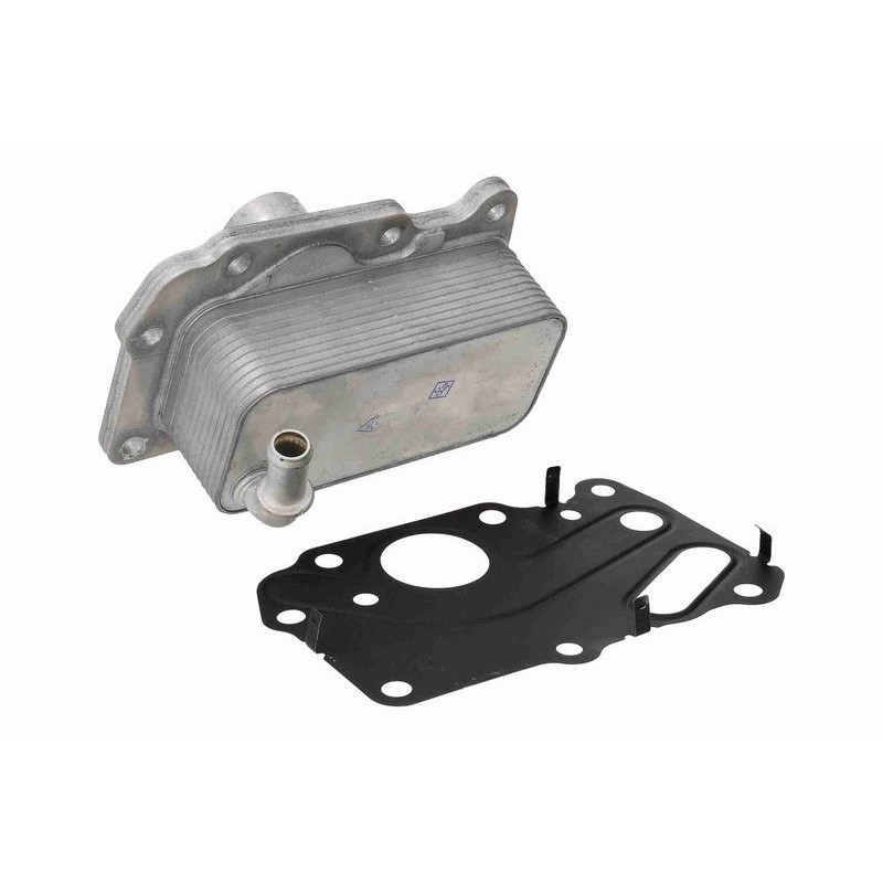 VEMO V48-60-0052 Radiador de aceite, aceite motor - 1