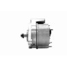 VEMO V31-13-31310 Alternador - 1
