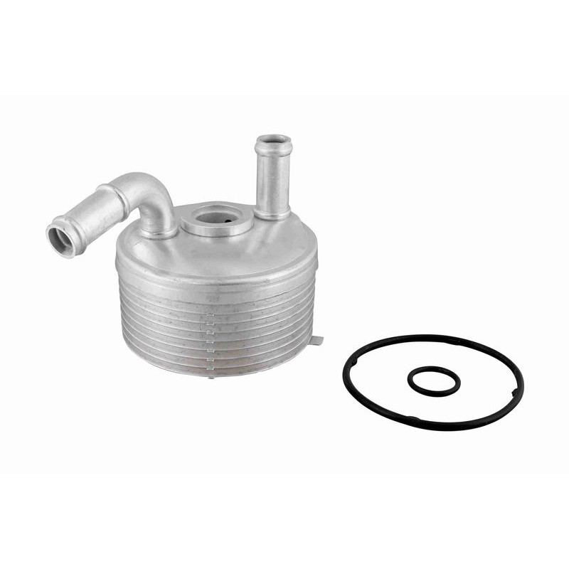 VEMO V20-60-1560 Radiador de aceite, transmisión automática - 1