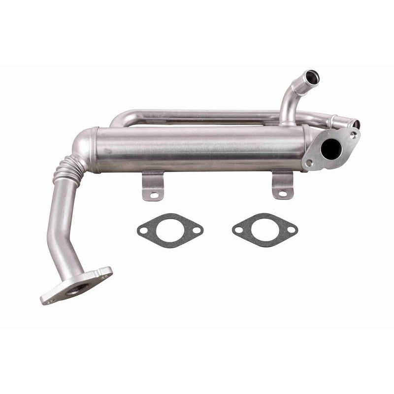 VEMO V10-63-0149 Elemento enfriador, reciclaje gases escape - 1