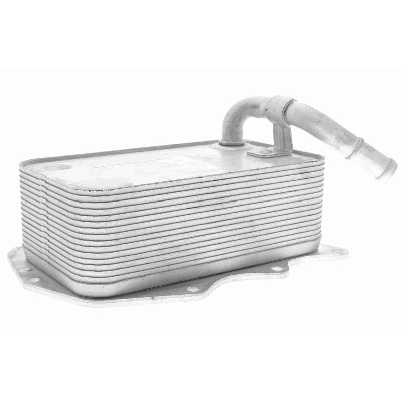VEMO V15-60-0008 Radiador de aceite, aceite motor - 1
