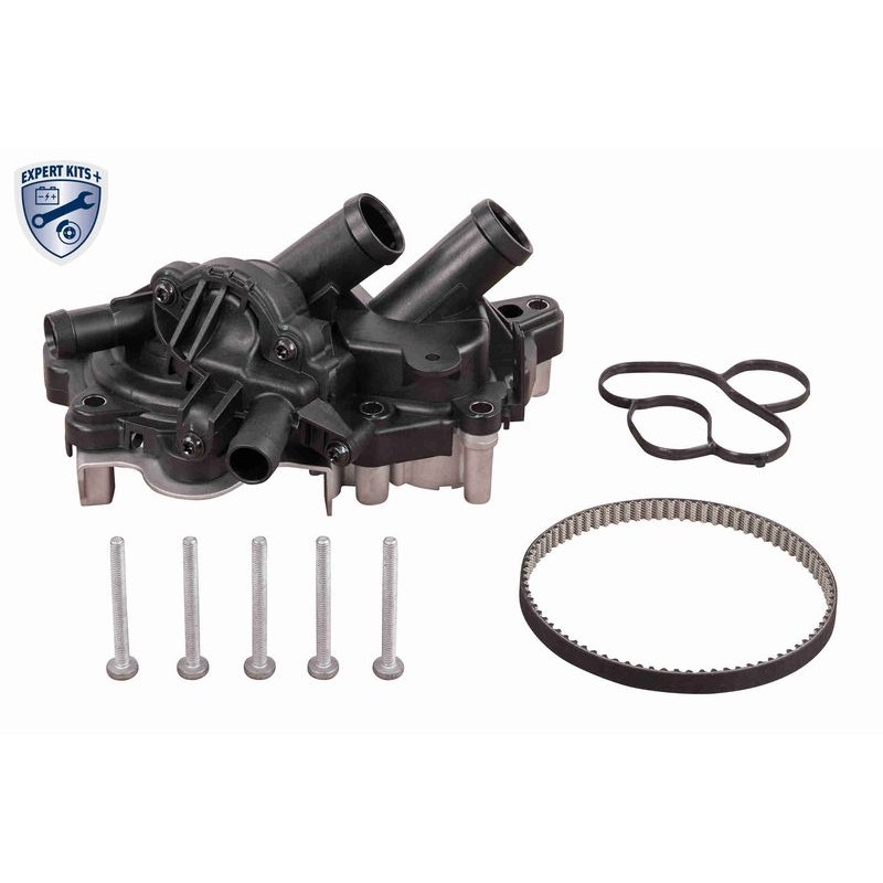 VEMO V15-99-2131 Bomba de agua + kit correa distribución - 1