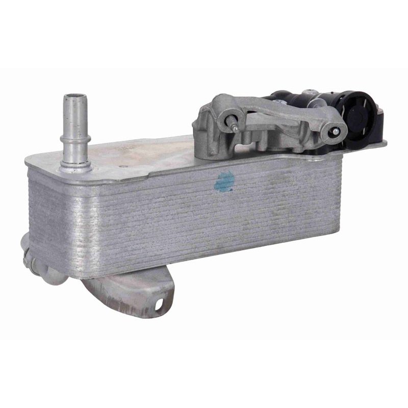 VEMO V20-60-0100 Radiador de aceite, transmisión automática - 1