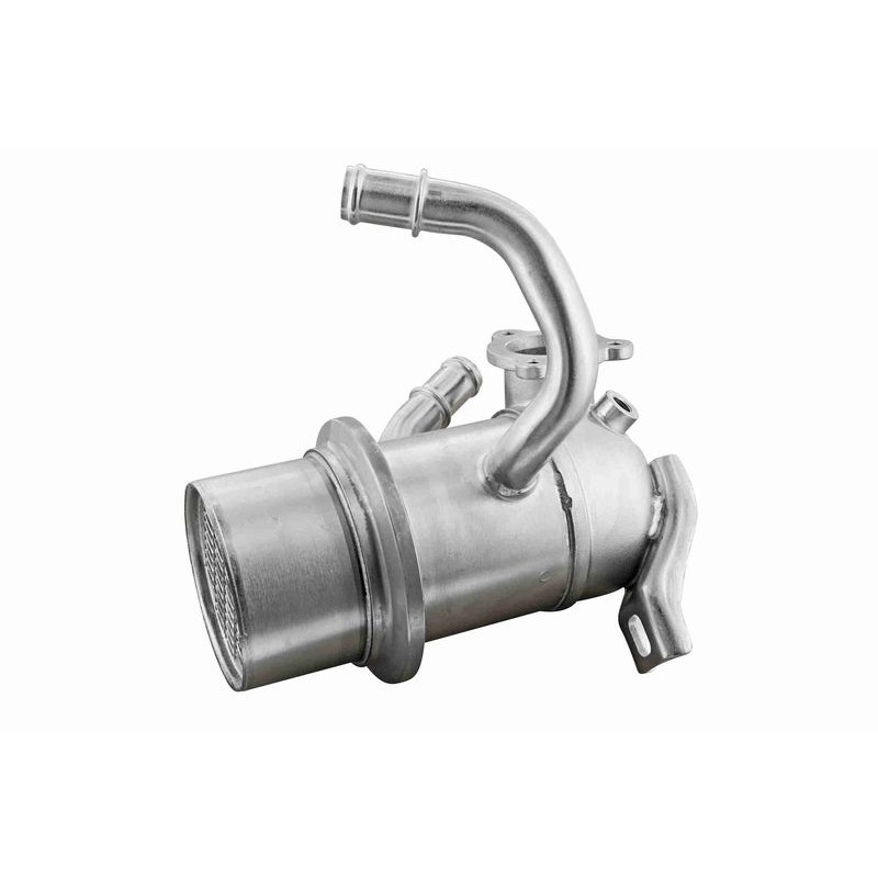 VEMO V10-63-0186 Elemento enfriador, reciclaje gases escape - 1