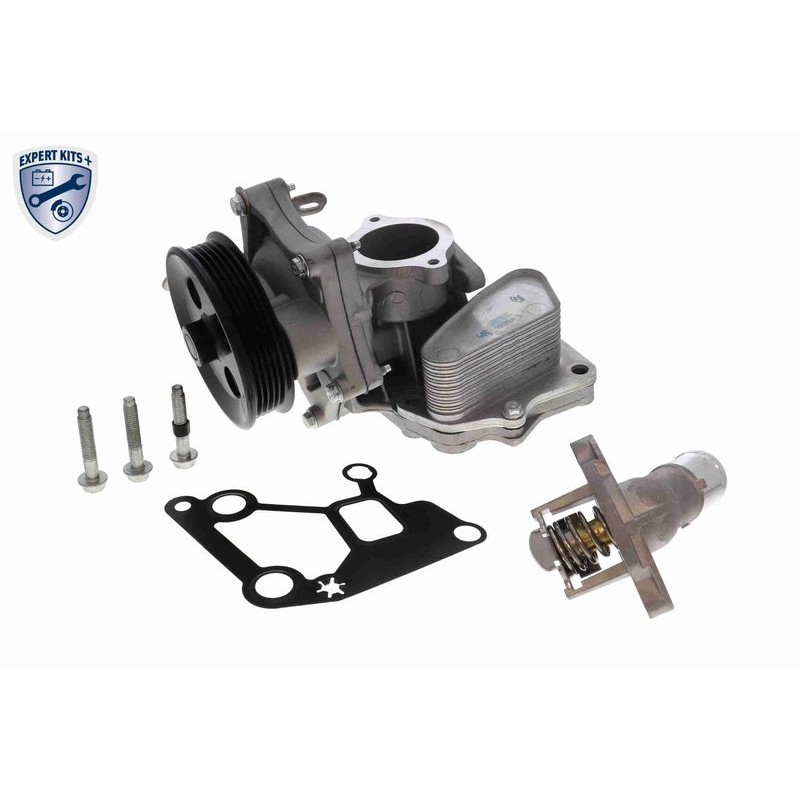 VEMO V40-60-2129-1 Radiador de aceite, aceite motor - 1