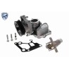 VEMO V40-60-2129-1 Radiador de aceite, aceite motor - 1