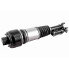 VEMO V30-50-0031 Amortiguador telescópico neumático - 1