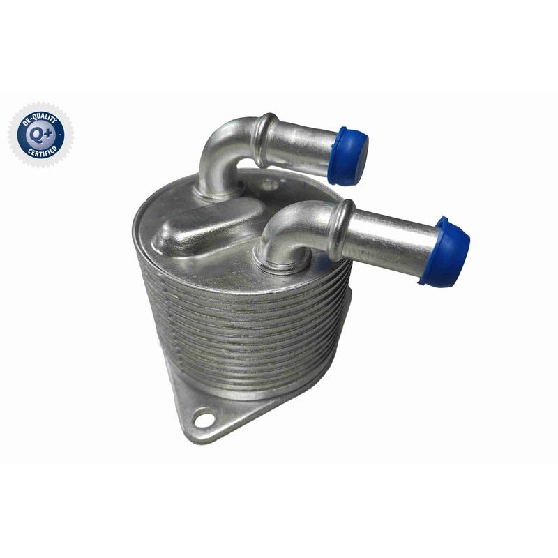 VEMO V42-60-0019 Radiador de aceite, transmisión automática - 1