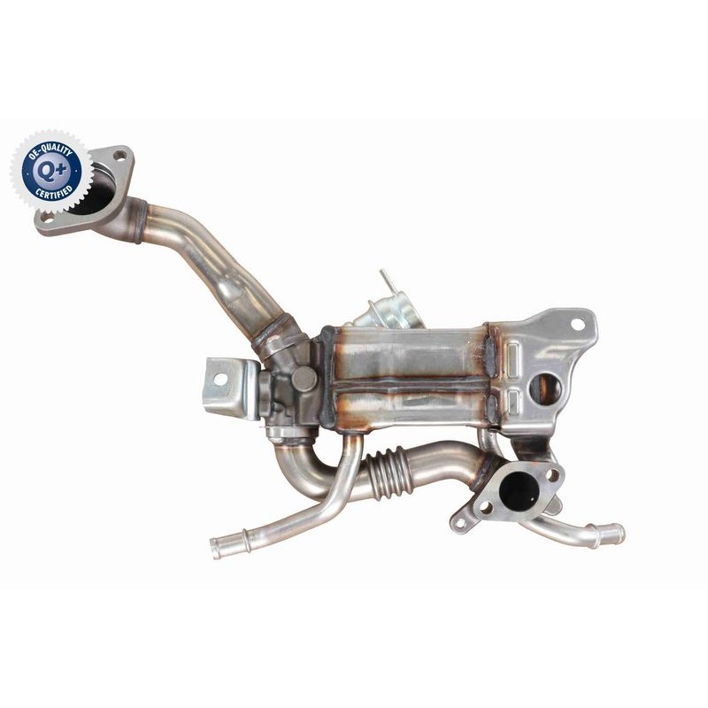 VEMO V40-63-0065 Elemento enfriador, reciclaje gases escape - 1