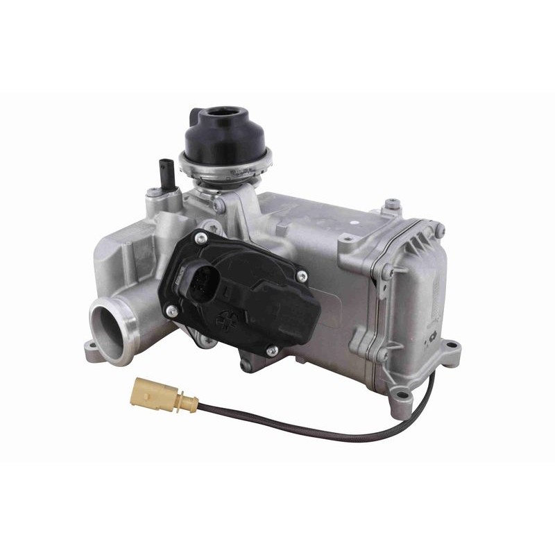 VEMO V10-63-0171 Elemento enfriador, reciclaje gases escape - 1