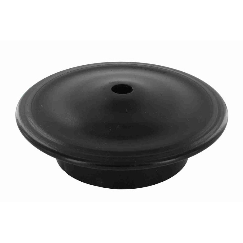 VAICO V10-1206 Caja de muelle - 1