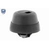 VAICO V30-2277 Alojamiento, gato - 1