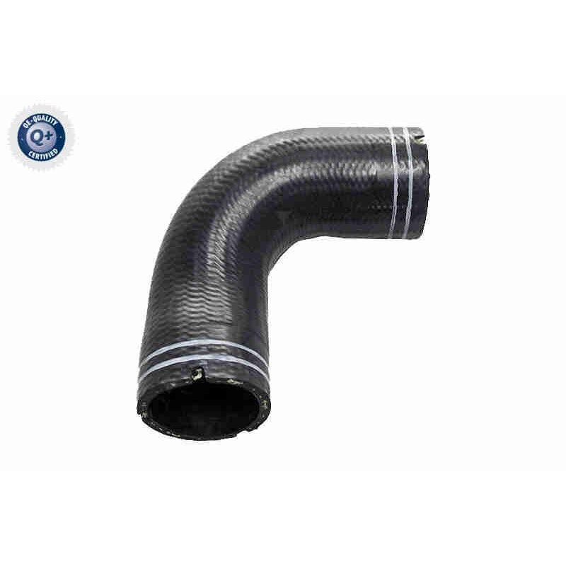VAICO V24-1063 Tubo flexible, ventilación del cárter - 1