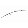 VAICO V10-7968 Tubo flexible de frenos