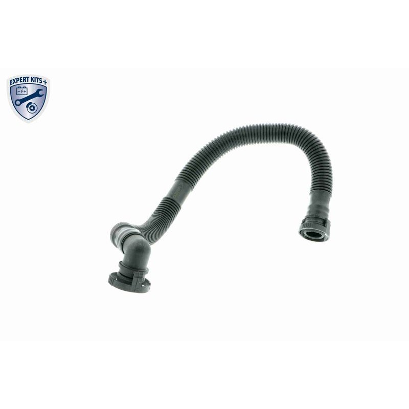 VAICO V10-2779 Tubo flexible, ventilación del cárter - 1