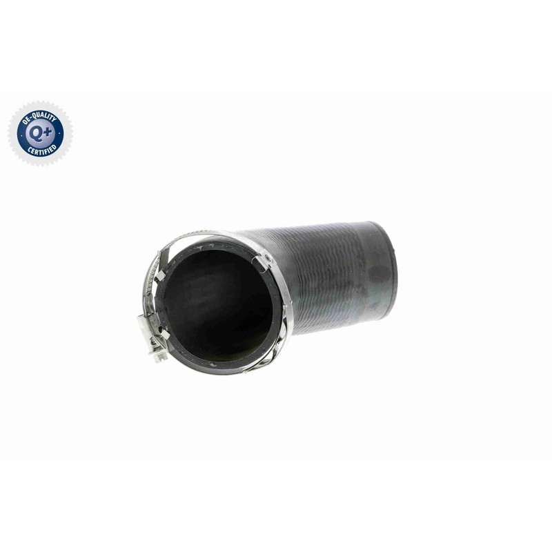 VAICO V10-2855 Tubo flexible de aire de sobrealimentación - 1