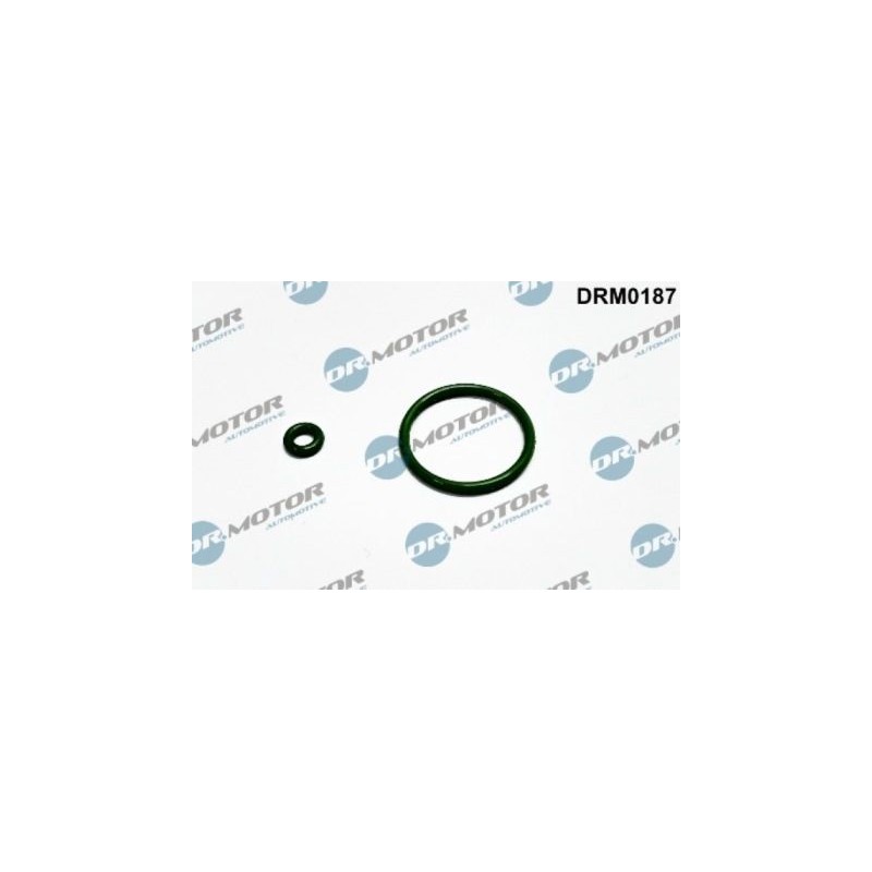 LIZARTE DRM0187 Joint torique, porte-injecteurs