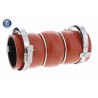 VAICO V42-0583 Tubo flexible de aire de sobrealimentación - 1