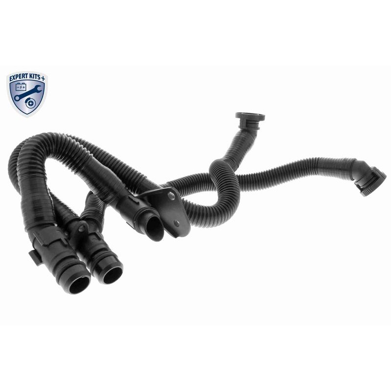 VAICO V10-3503 Tubo flexible, ventilación del cárter - 1