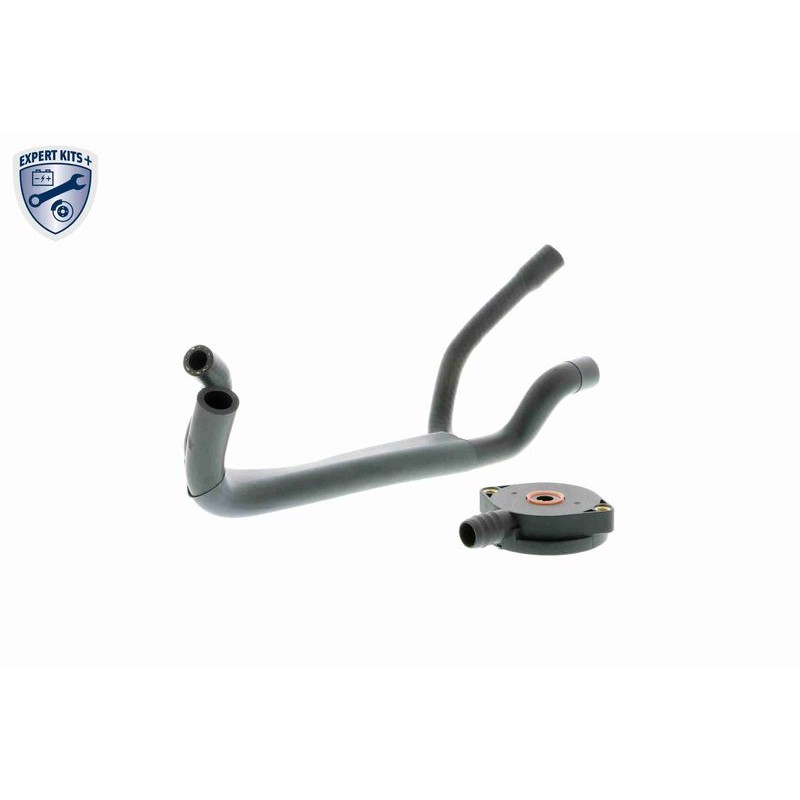 VAICO V20-1920 Kit de reparación, ventilación del cárter - 1