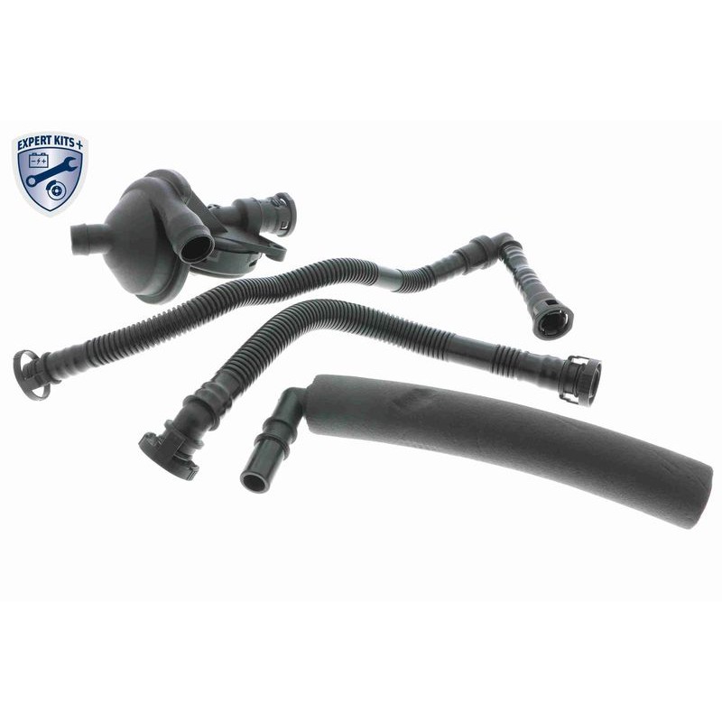 VAICO V20-2508 Kit de reparación, ventilación del cárter - 1