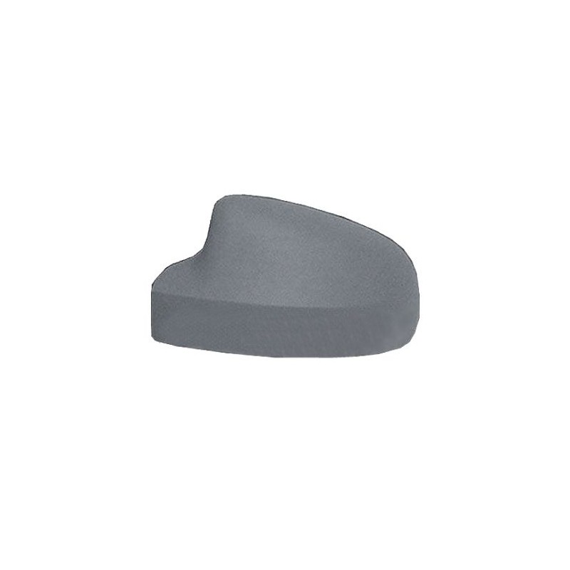 IPARLUX 41251006 Cubierta, retrovisor exterior - 1