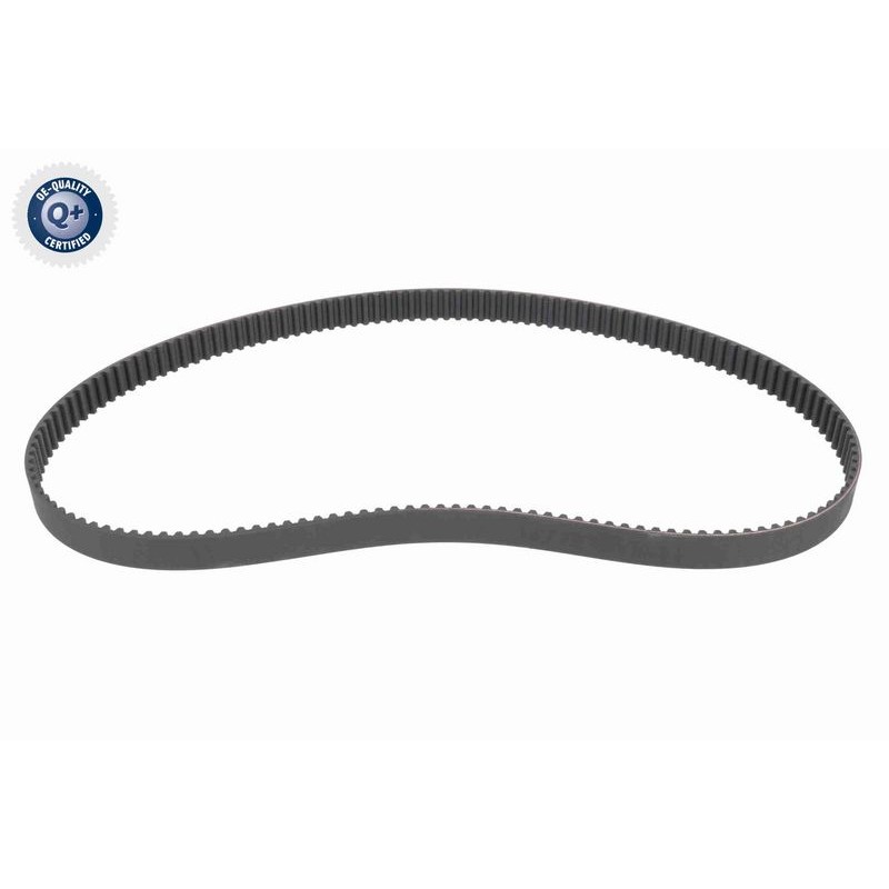 VAICO V10-6961 Correa dentada - 1