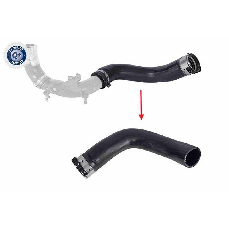 VAICO V46-1725 Tubo flexible de aire de sobrealimentación - 1