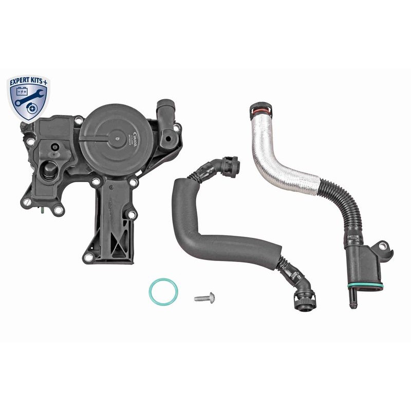 VAICO V10-3881 Kit de reparación, ventilación del cárter - 1