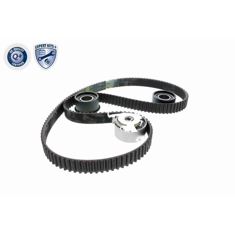 VAICO V40-0629 Juego de correas dentadas - 9