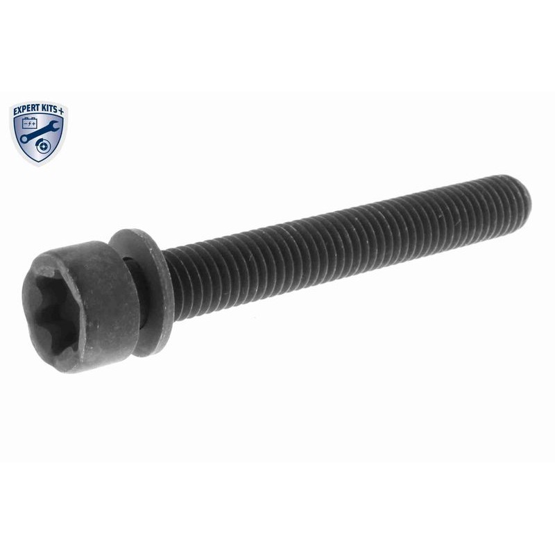 VAICO V40-50063-BEK Bomba de agua + kit correa distribución - 8