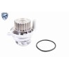 VAICO V10-50106 Bomba de agua + kit correa distribución - 3