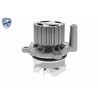 VAICO V10-50110-BEK Bomba de agua + kit correa distribución - 2